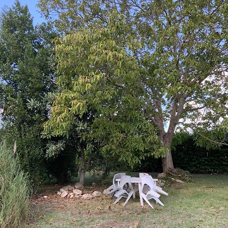 Appartamento Il Mandorlo Viterbo Esterno foto
