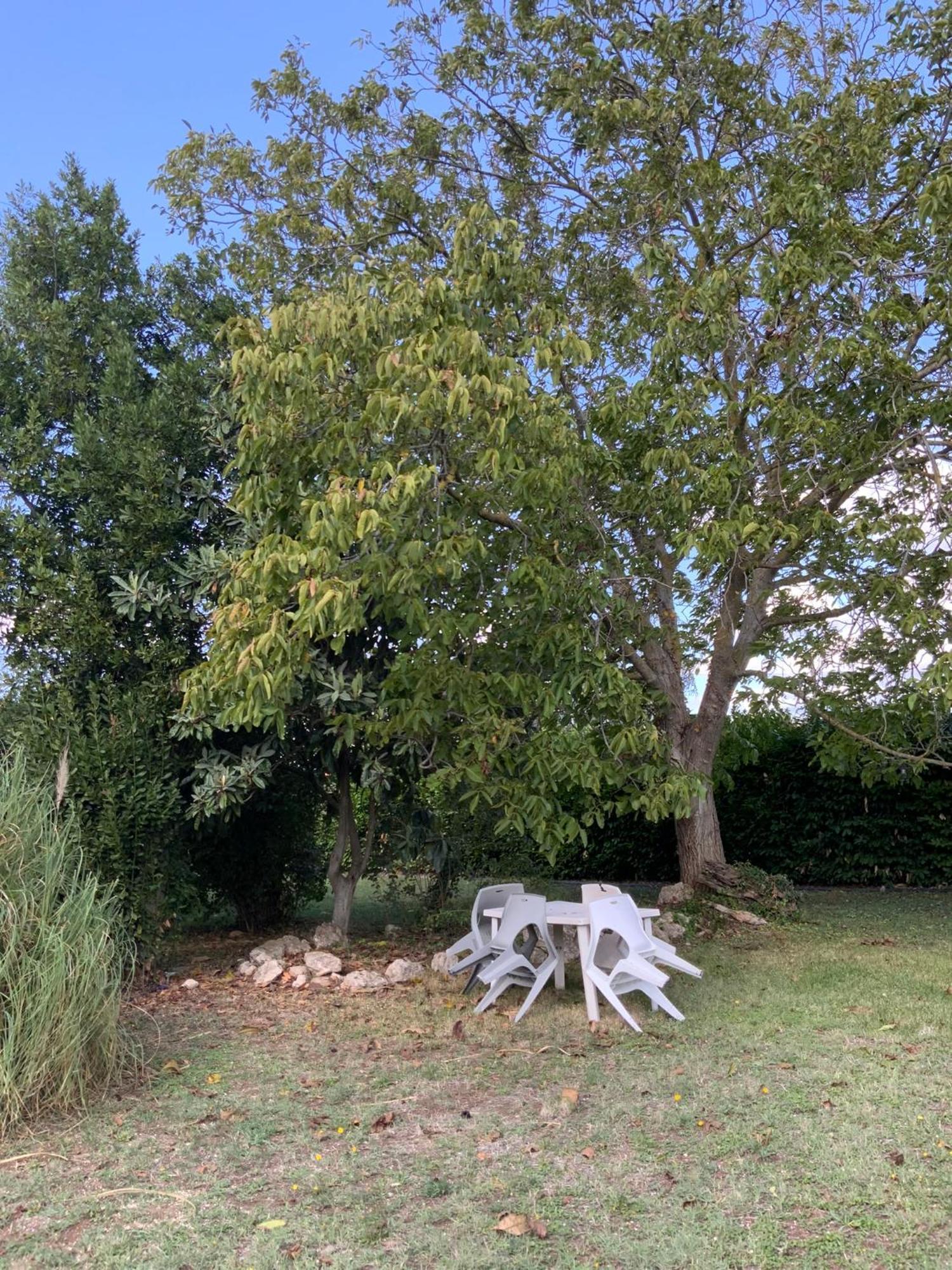 Appartamento Il Mandorlo Viterbo Esterno foto