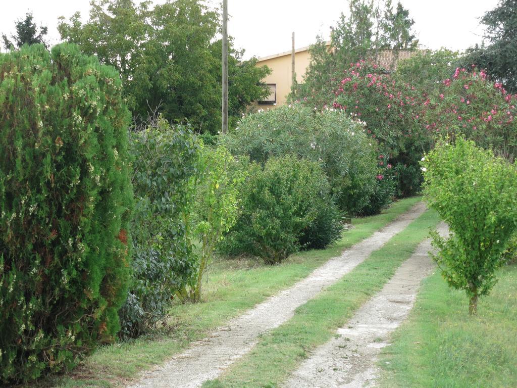 Appartamento Il Mandorlo Viterbo Esterno foto